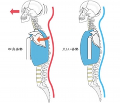 鎌倉 整体